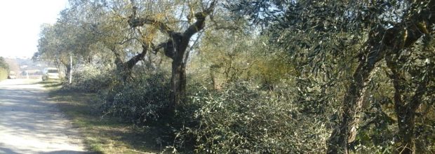 Paesaggio. è il momento delle cure di bellezza!