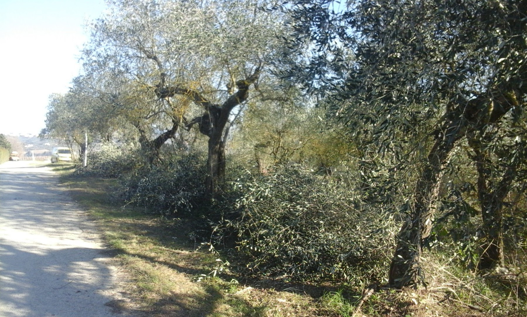 Paesaggio. è il momento delle cure di bellezza!