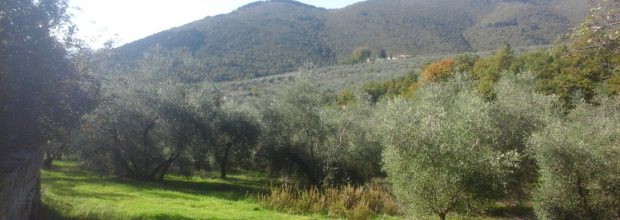 Giornate di lavoro e di olio