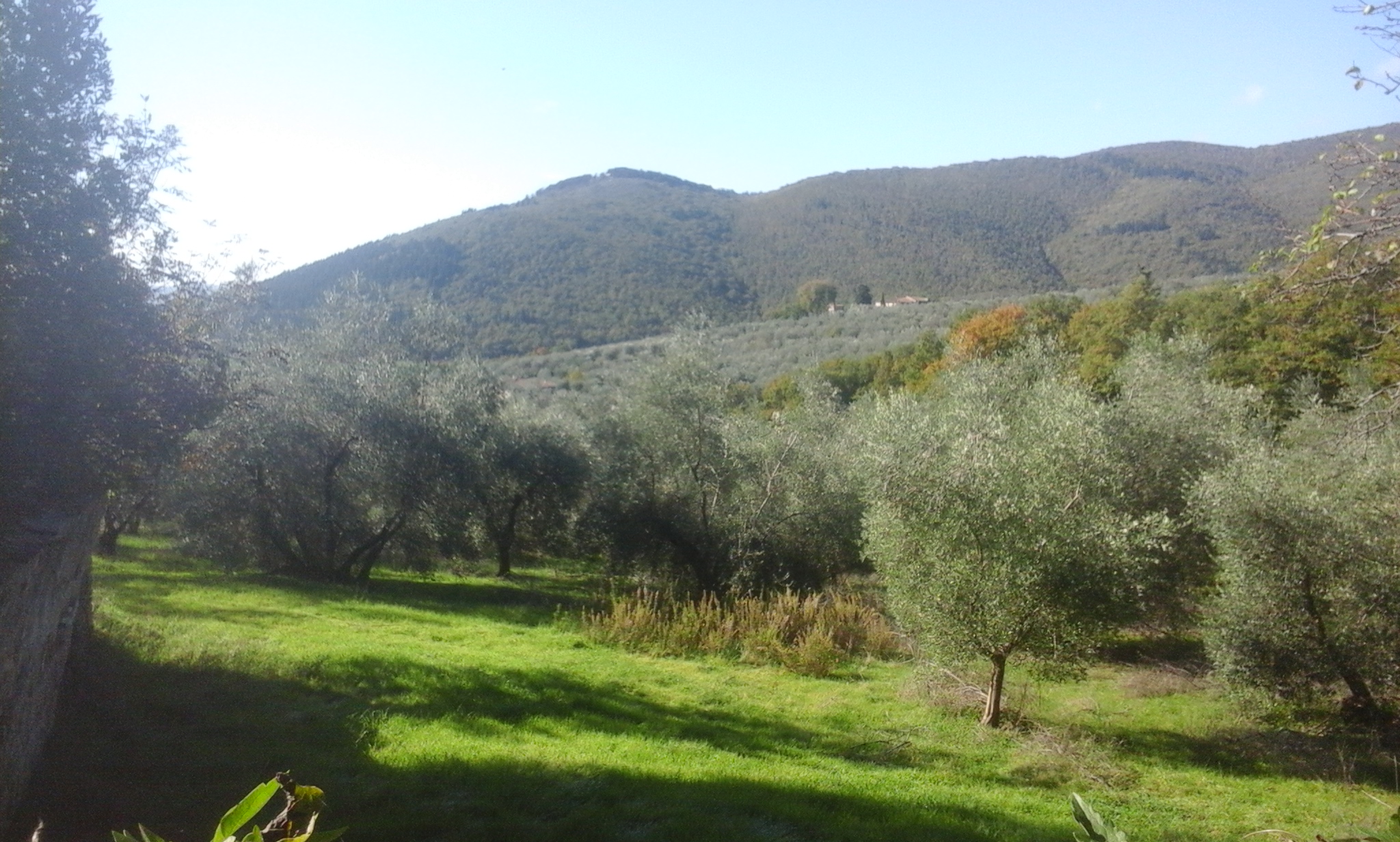 Giornate di lavoro e di olio